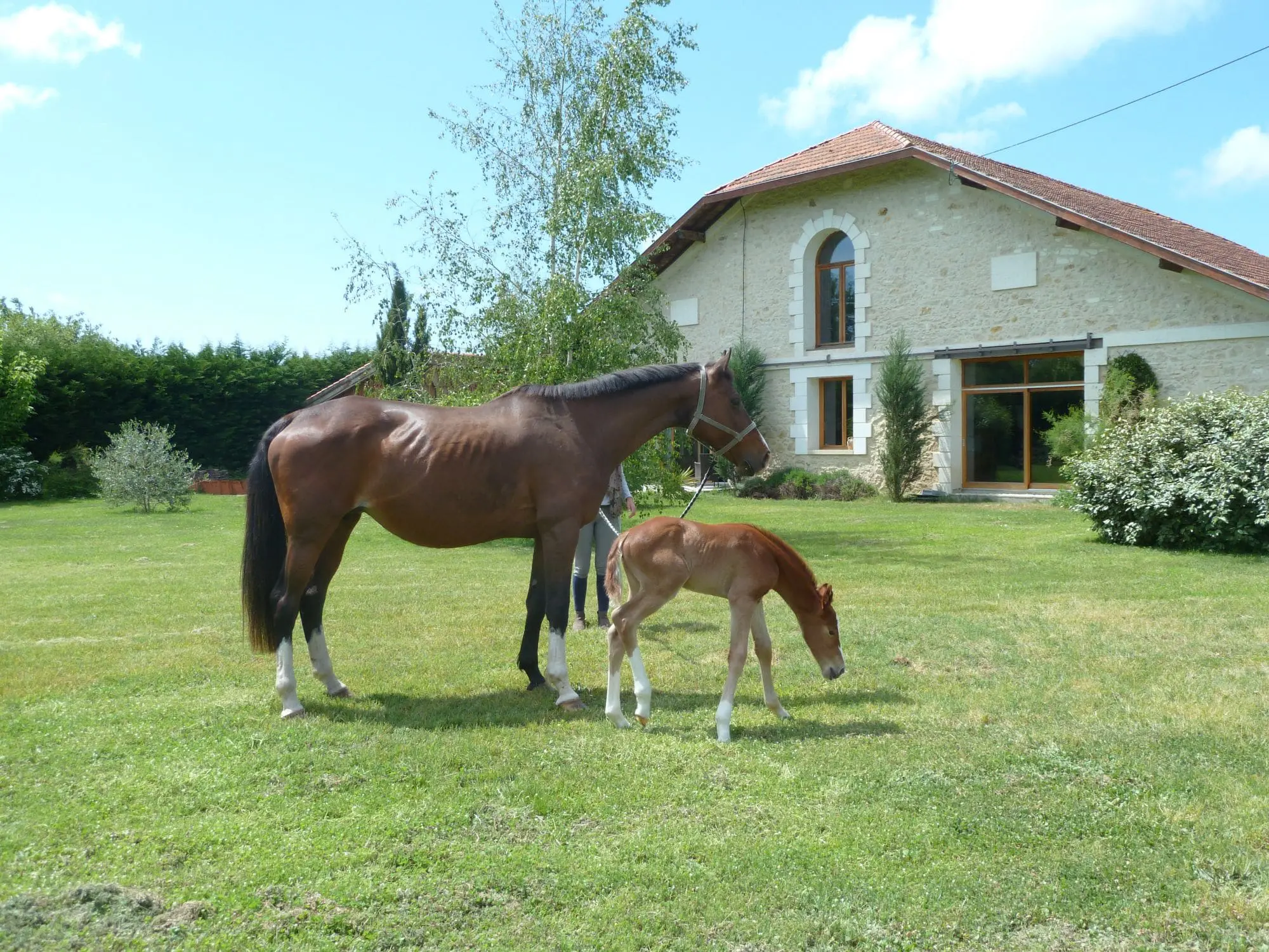 location-domaine-dares-maison