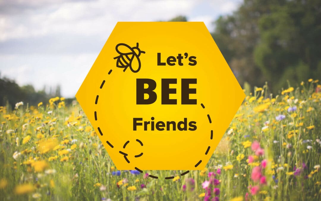 Memorypur célèbre la Journée mondiale des abeilles en lançant une initiative pour la biodiversité