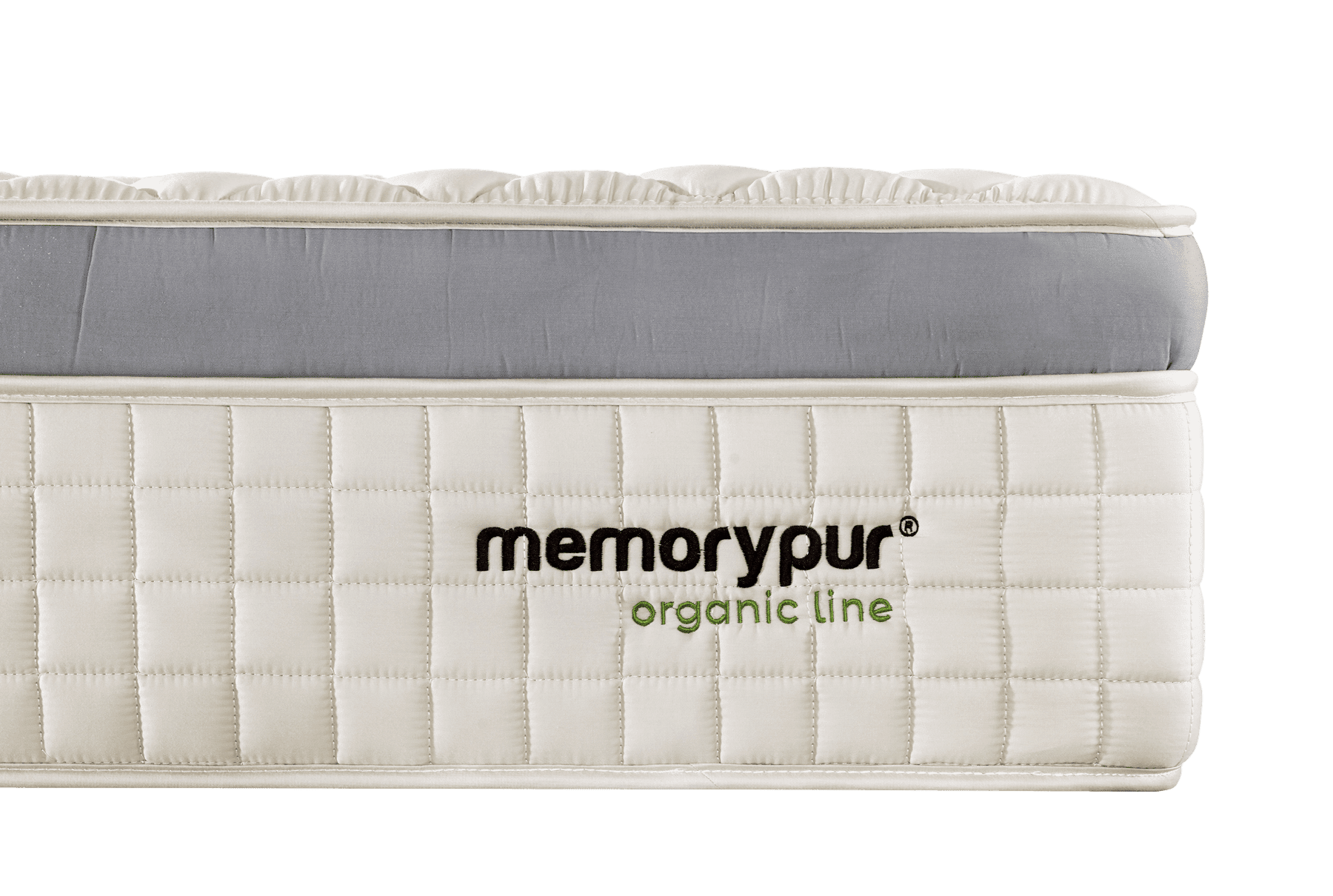 mmexport1592060982025-2-removebg-tiny